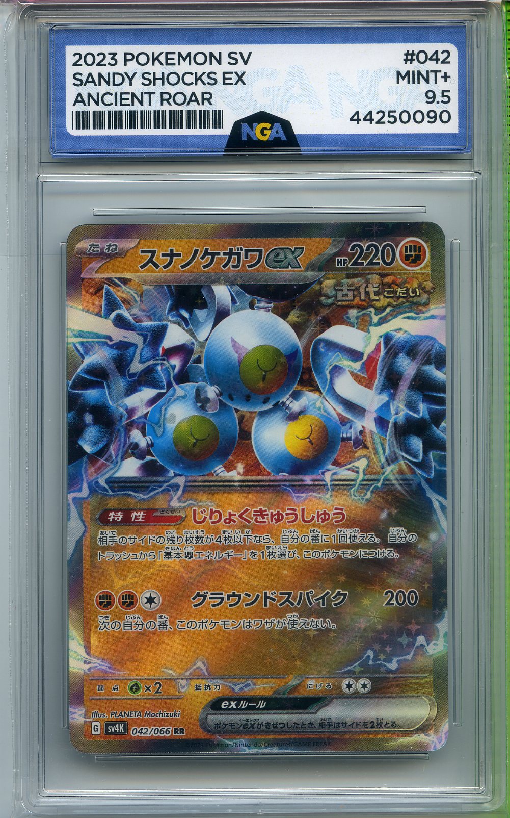 POKEMON POKEMON Other 9.5