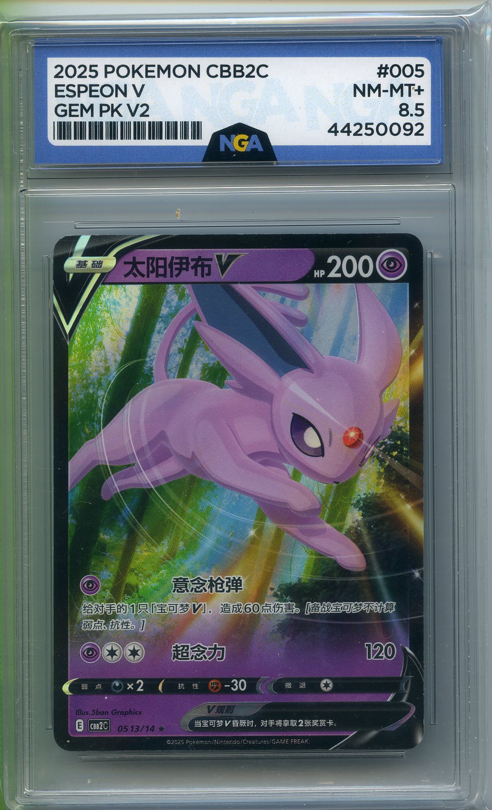 POKEMON POKEMON Other 8.5