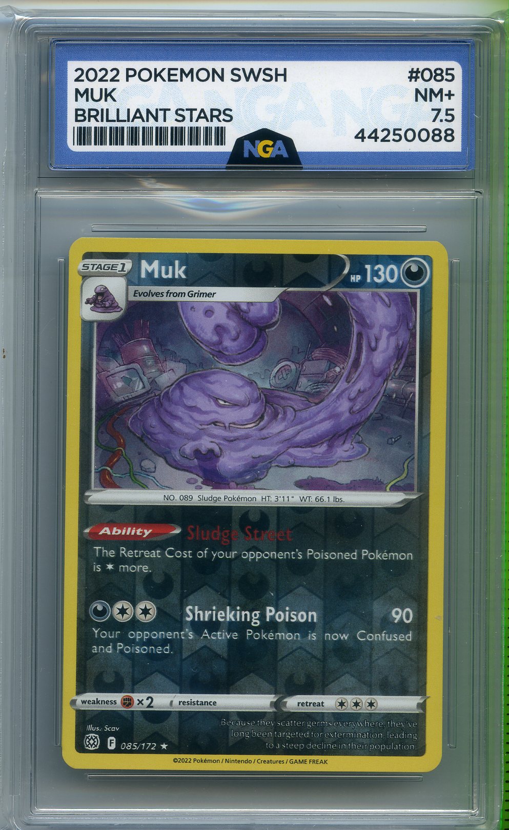 POKEMON POKEMON Other 7.5