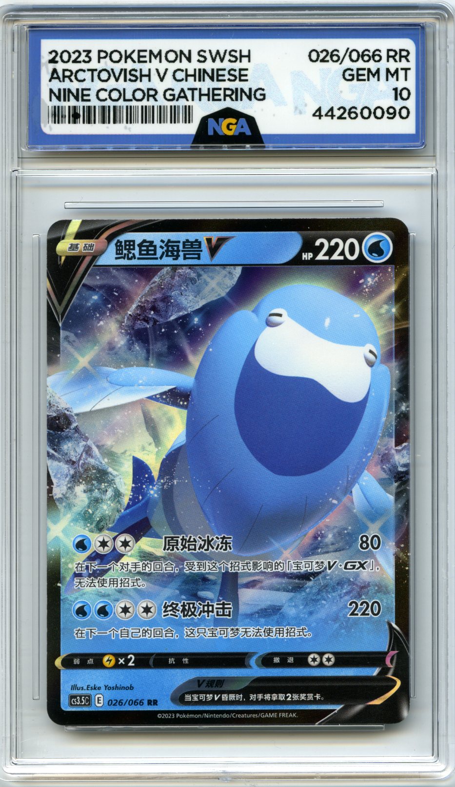 #026/066 Arctovish V SWSH