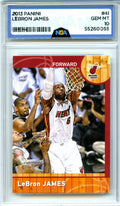 2013-14 Panini NBA (International) #41 LeBron James NGA 10